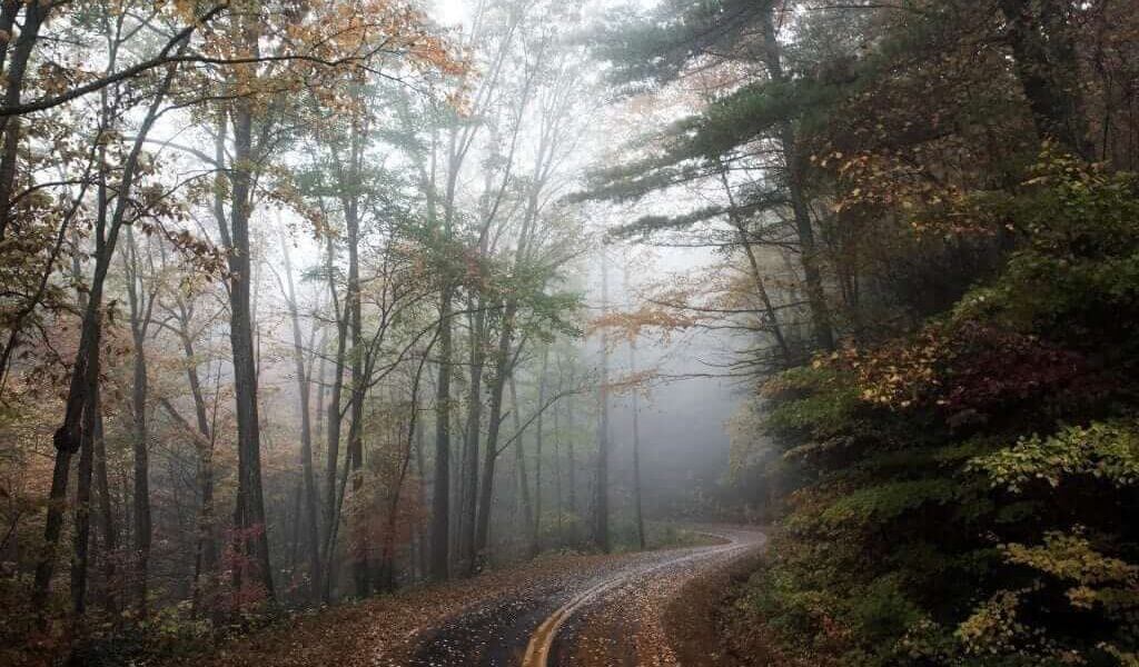 road-1030871_1920